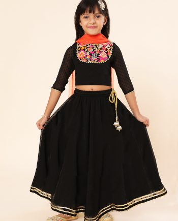 Black Embroidered Lehenga